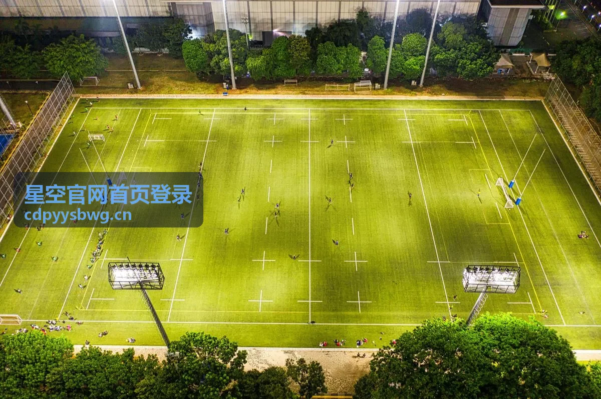星空官网首页登录后审批流与操作授权设置
